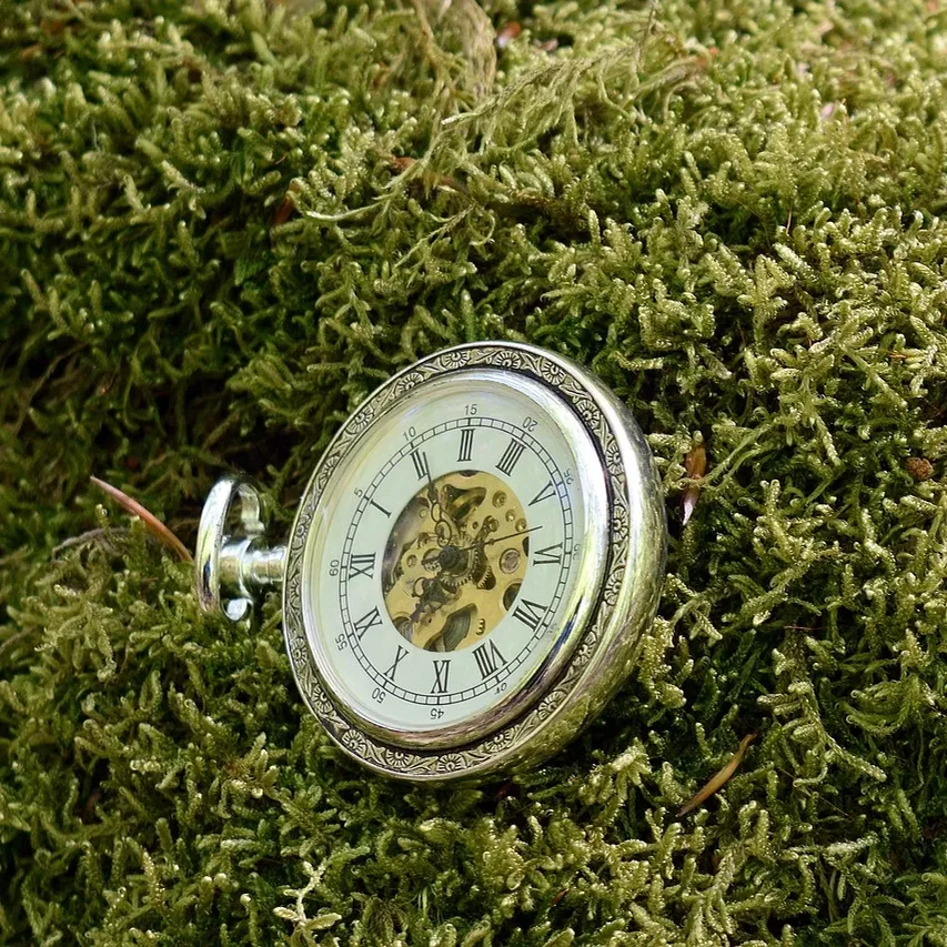 Silver Watches for man