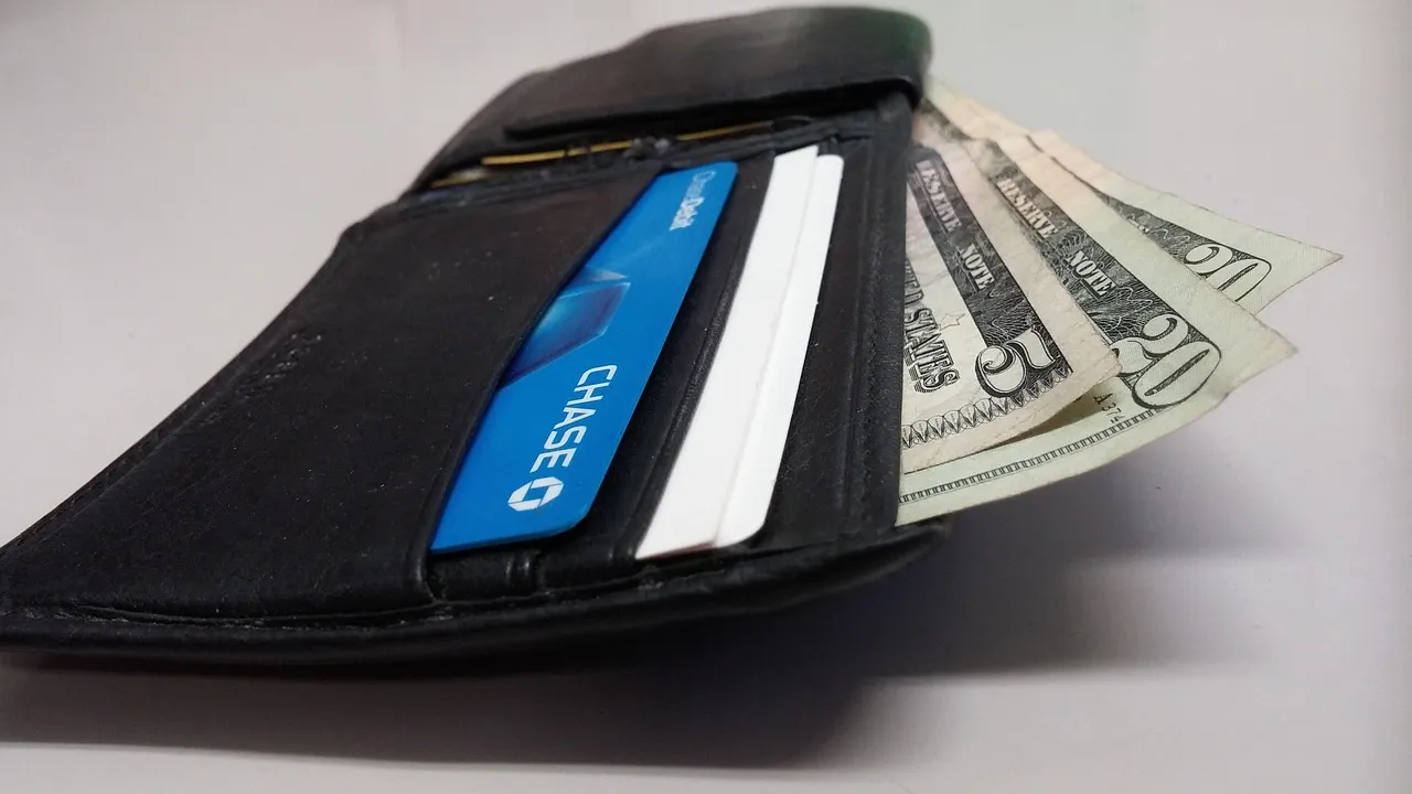Brown Polyurethane Wallet