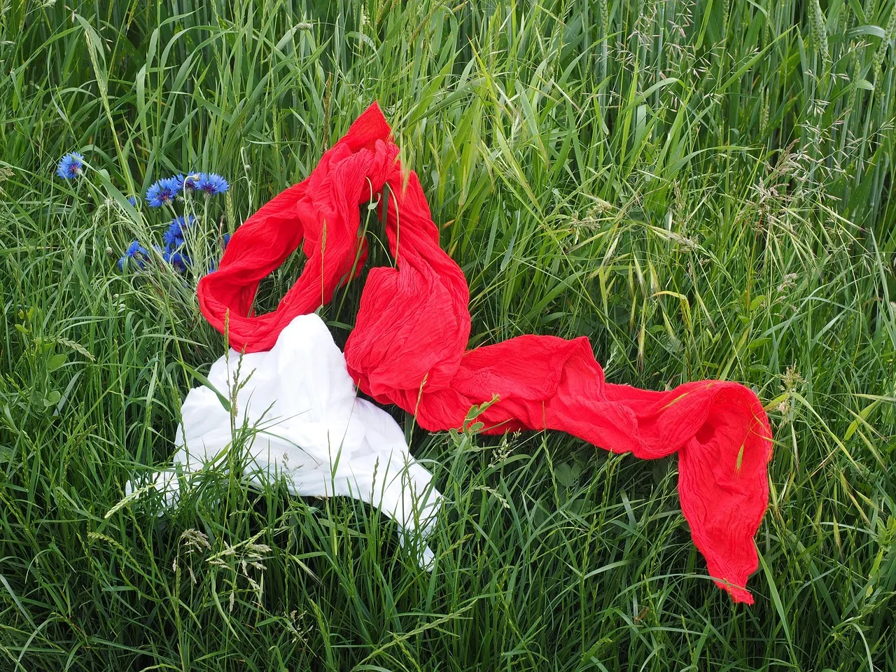 Red Cupcake Neck Wrap Shawl 100% Silk Scarf