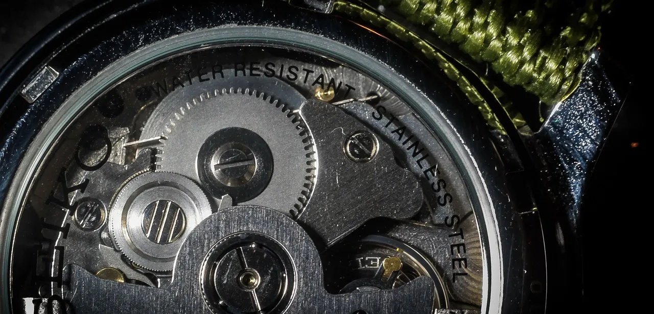 Brown Watches for man