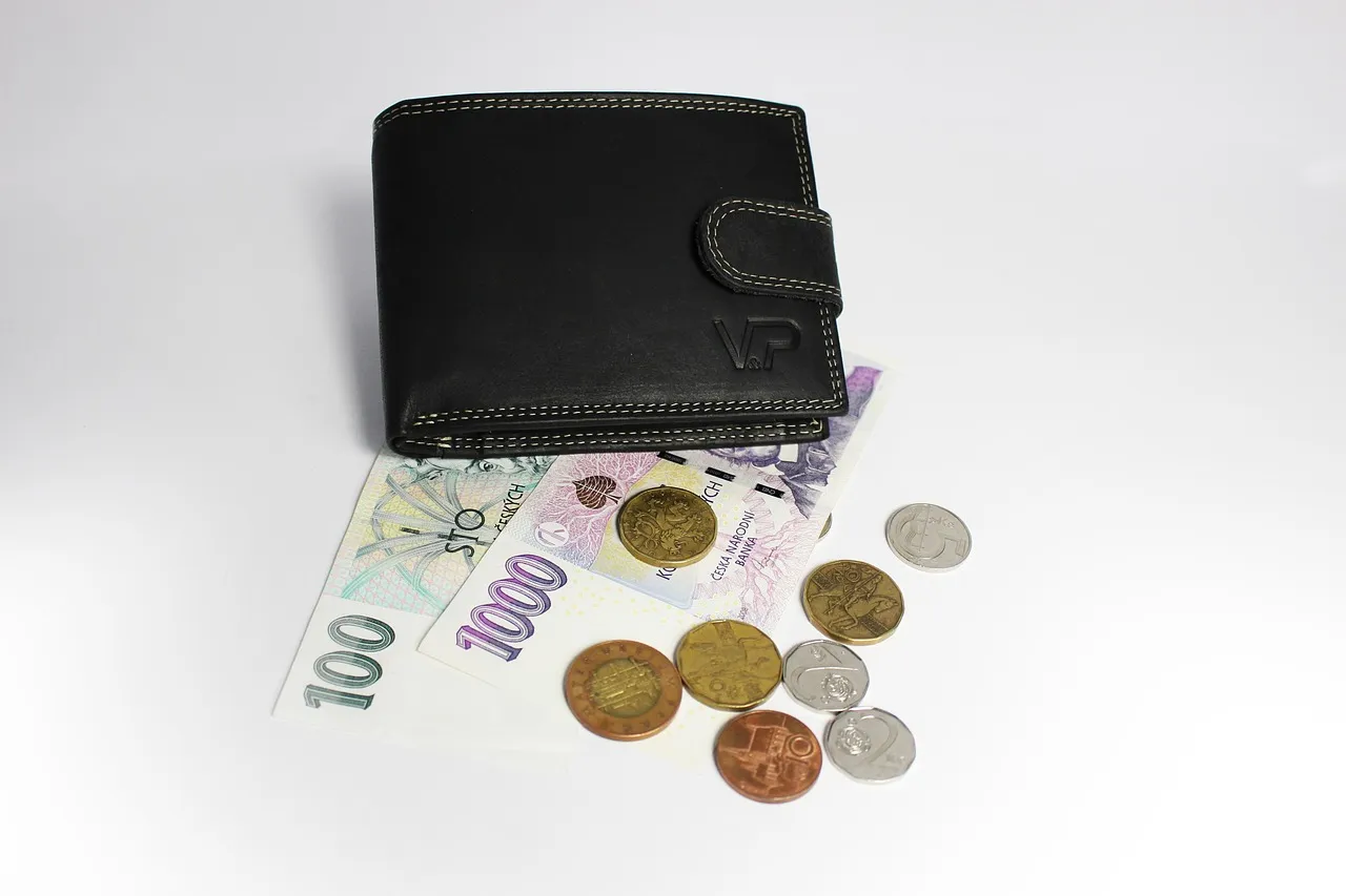 Black Polyurethane Wallet