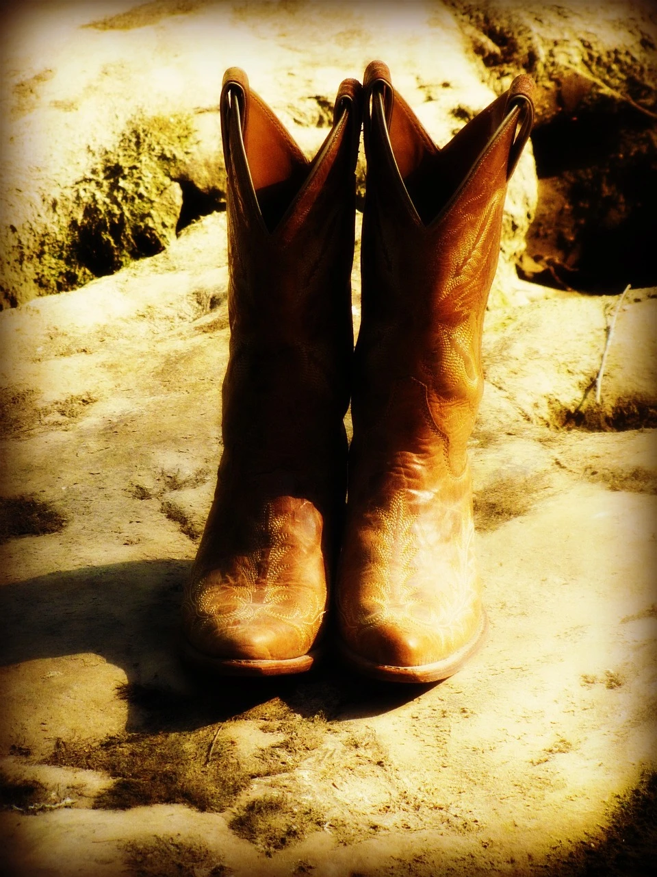 Black Polyester Boot
