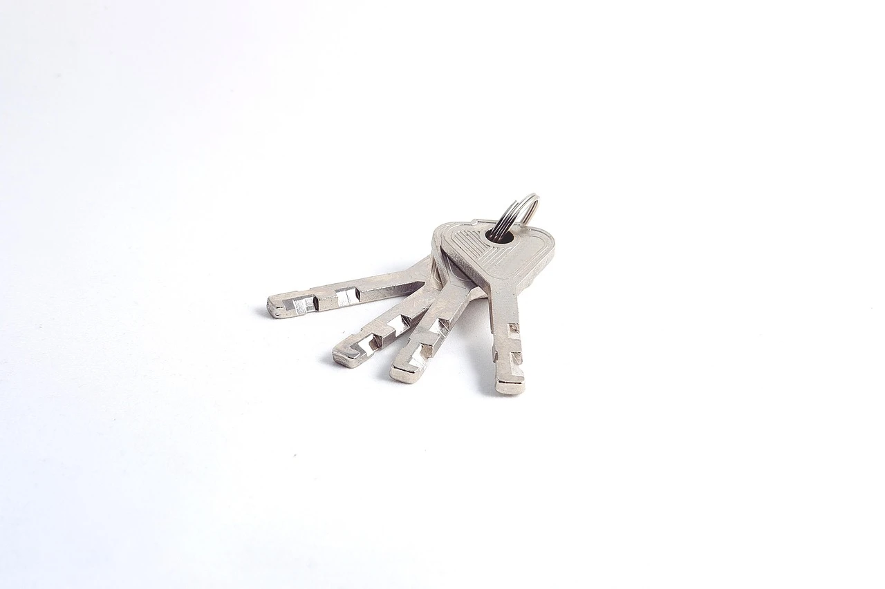 Silver Womens Wing Clear CZ 925 Silver Ring