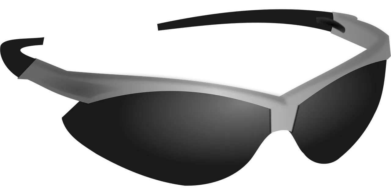 Black Unisex Sunglass